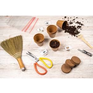 Ensemble de plantation de bonsaï Kit de plantation d'intérieur bricolage pour enfants adulte <span class=keywords><strong>Pot</strong></span> biodégradable plantation avec petit balai - Product Image 6