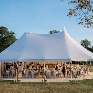 Carpa de exterior, gazebo, carpas para eventos, carpa de jardín, carpa para fiestas, carpas plegables para eventos, carpa comercial para eventos. - Product Image 5