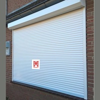 Porte à enroulement en aluminium au design moderne, porte extérieure durable, porte de garage résistante au vent et antivol