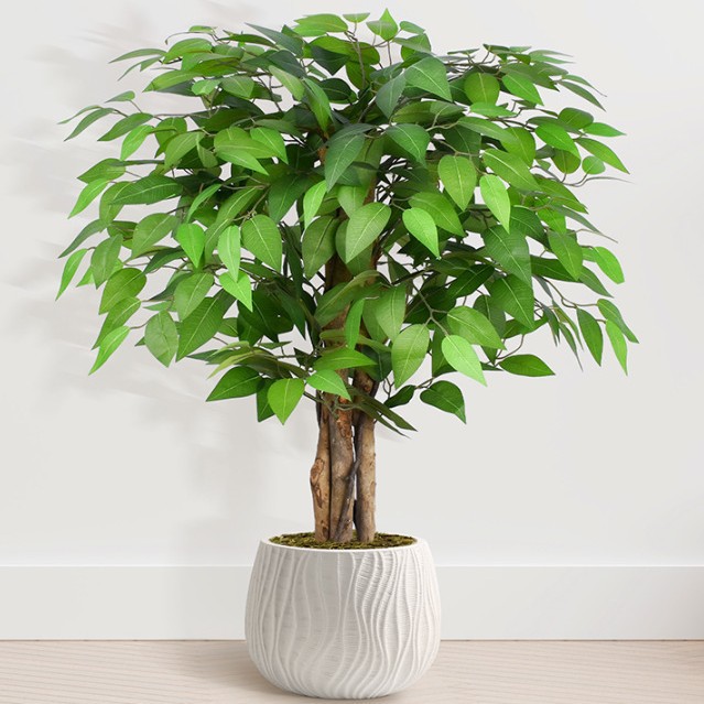 90cm simulation of banyan tree