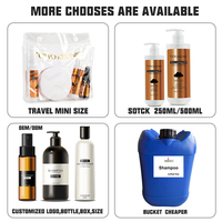 ODM/OEM Made in China-shampoing naturel à l'huile d'argan, shampoing au collagène, hydratant, nourrissant, soins capillaires Afro, traitement des cheveux, shampoing biologique