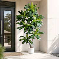 Tanaman Dracaena Real Touch Mewah dengan Pot Putih untuk Dekorasi Rumah Modern dan Lanskap Interior Kantor, Tersedia Pasokan Grosir