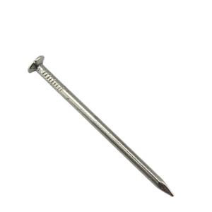 高品质低价普通钉子制造中国普通铁钉普通圆形铁钉 - Product Image 1