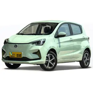 Marka yeni Changan Benben e-yıldız E yıldız Estar 5-Door 5-Seat Hatchback uzun menzilli Ev elektrikli araba Mini elektrikli araba