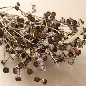E-3040 Toptan doğal bitki kuru <span class=keywords><strong>eucalyptus</strong></span> berry kurutulmuş Okaliptüs yaprakları buket - Product Image 6