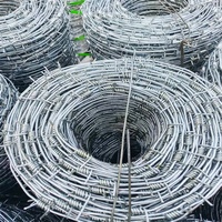 Bobine de fil barbelé simple ou double torsadé |   Fil de fer résistant aux intempéries et antirouille |   Haute résistance à la traction économique |   Mur de clôture de ferme/ranch