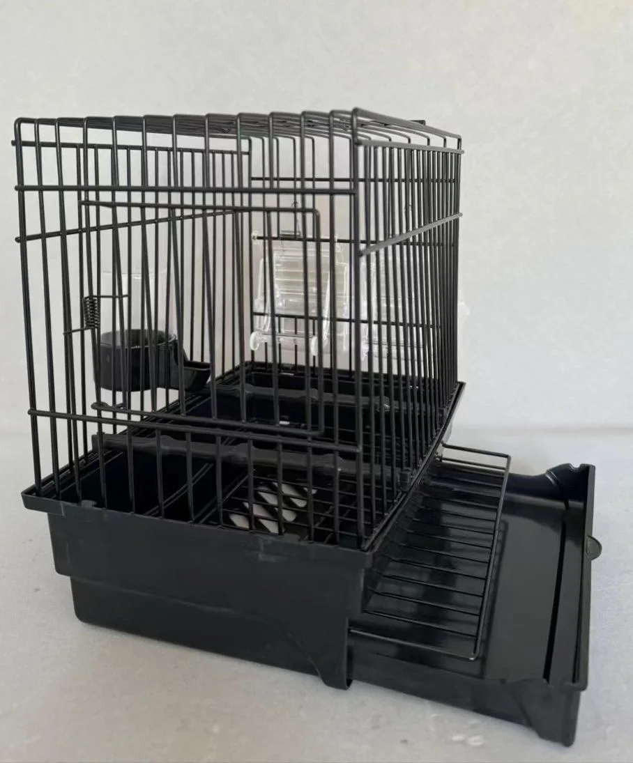 canary cagescuare olastic steel