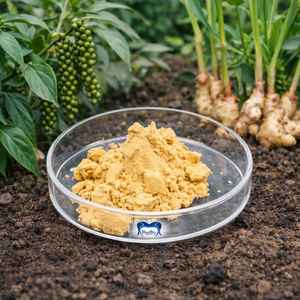 <span class=keywords><strong>ผง</strong></span>ไคโตซานโอลิโกแซ็กคาไรด์จากโรงงานโดยตรง สำหรับขิง พริกไทยดำ และขมิ้น ป้องกันไส้เดือนศัตรูพืชตามธรรมชาติสำหรับพืชผลเขตร้อน - Product Image 1