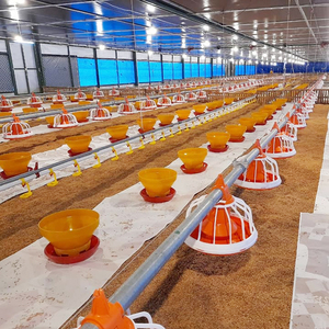 Mô Hình Mới Tự Động Gà Thịt Tầng Nâng Thiết Bị Tự Động Gia Cầm Hệ Thống Cho Ăn Gà Chăn Nuôi Pan Trung Chuyển - Product Image 4