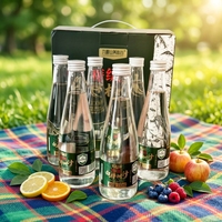 Jus de bouleau sauvage 330ml Sans additifs Pressé à froid Boisson végétale naturelle Vente en gros OEM