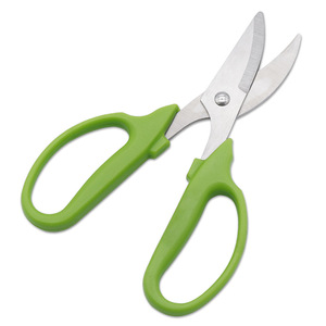 Cisailles à Bonsaï en Acier Inoxydable, Forme Bec d'Oiseau Vert, Lame de 50 mm, Outils de Jardinage - Product Image 3