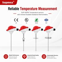Class A Pt100 Temperature Sensor with Multiple Thread Options for Standard Industrial Liquid and Gas Temperature Measurement