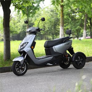 Triciclo Eléctrico de Doble Motor y 125cc, Personalizado, 60V, 10 Pulgadas, Abierto, S25, con 3 Ruedas, Certificado CE, Triciclo de 3 Ruedas de 10 Pulgadas - Product Image 1