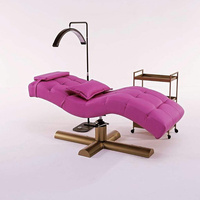 Lit de beauté portatif léger électrique réglable de massage de table de lit de beauté de cils pour des meubles de salon