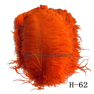 <span class=keywords><strong>Plumes</strong></span> <span class=keywords><strong>d</strong></span>'<span class=keywords><strong>autruche</strong></span> orange <span class=keywords><strong>60</strong></span> <span class=keywords><strong>cm</strong></span> 65cm, accessoires de <span class=keywords><strong>d</strong></span>écoration <span class=keywords><strong>d</strong></span>'intérieur, <span class=keywords><strong>plumes</strong></span> <span class=keywords><strong>d</strong></span>'<span class=keywords><strong>autruche</strong></span> pour fête - Product Image 2
