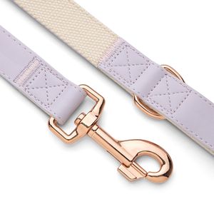 Correa y <span class=keywords><strong>Collar</strong></span> de cuero suave y nailon para perro, doble gancho de Color personalizado, de lujo, con hebilla dorada - Product Image 5