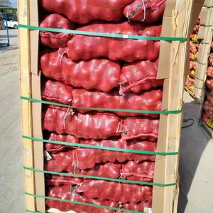 新鲜黄洋葱储存1千克批发自有品牌尺寸洋葱出口商20千克袋优质红白洋葱