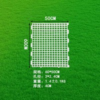 Nouvelle planche de fuite de fumier d'équipement de volaille d'élevage en plastique 50x100cm pour élever des poulets et des canards adultes