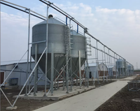 Silo d'acciaio dell'alimentazione del Silo di stoccaggio dell'allevamento di pollame di agricoltura per l'alimentazione della casa del maiale del pollo del pollame