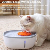 Fontaine à eau pour animaux de compagnie en forme d'avocat en PC, filtration 4 étapes, lumière LED, étanche, niveau d'eau visible pour chiens