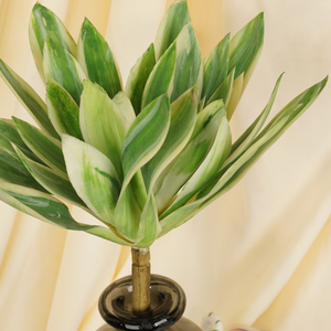 Plantas Suculentas Realistas, Plantas Suculentas Artificiales Realistas de Tallo Único para Decoración de Interiores, Hogar y Jardín, Graduación - Product Image 4