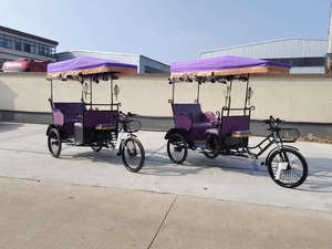 Vélo-taxi Électrique Rétro pour Tourisme, Vente en Gros Usine - Product Image 3