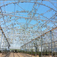 Serre Agricole Tunnel JP Multi-Travée Économique en Film Plastique pour Fraises Tomates, Protection Agricole