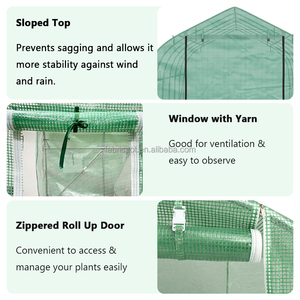 <span class=keywords><strong>Serres</strong></span> de jardin durables toutes saisons arrière-cour extérieur tunnel de jardin serre <span class=keywords><strong>plante</strong></span> cultiver maison serre à vendre - Product Image 4