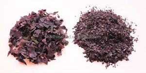 40G/SAC Emballage de détail Flocons d'algues rouges séchées naturelles Palmaria Palmata riches en nutriments, de haute qualité, sans sable, vente en gros - Product Image 5