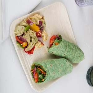 Platos de hoja de palma natural de calidad de exportación, aptos para microondas y congelador, ideales para fiestas de cumpleaños y picnics al aire libre. En venta. - Product Image 2