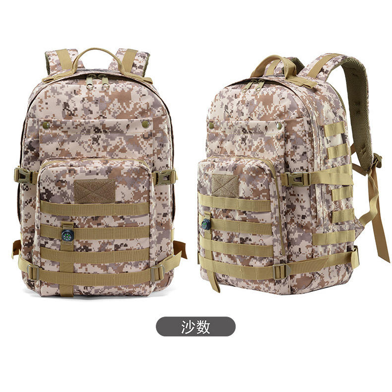 ทะเลทรายสีดิจิตอล