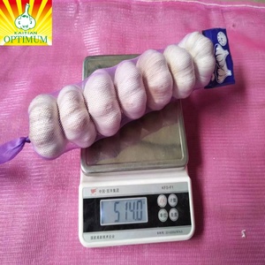 Aglio fresco cinese nuovo raccolto fornitura di ail come aglio normale bianco e bianco puro alho ajo dal produttore all'ingrosso di aglio - Product Image 4