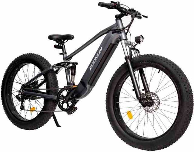 Fat Tire Front and Rear Shock Absorption Dual Disc Brake Electric Bicycle 48V Assisted Mountain Bike