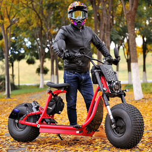 Cruiser xe máy 3000W citycoco nhà máy sản xuất EEC coc phê duyệt nơi để mua xe điện - Product Image 2
