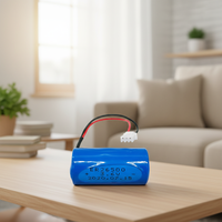 Batterie Li ER26500 9000mAh fournie directement par l'usine, avec décharge stable, longue durée de vie, alimentation fiable