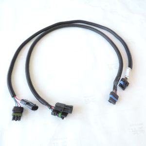 Perakitan kabel kustom otomotif <span class=keywords><strong>2</strong></span> Pin dengan konektor 02977763 ke Deutsch konektor DT04-2P GXL 18AWG kawat hitam dan merah - Product Image 6
