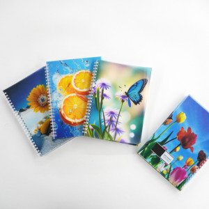 Cuaderno Espiral Personalizado para Escuela <span class=keywords><strong>Primaria</strong></span>, <span class=keywords><strong>Agenda</strong></span>, Diario para Estudiantes, Cubierta de PP con Logotipo Personalizado, Cuaderno de Registro Novo Em Folha - Product Image 1