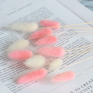 Bouquet de fleurs séchées en herbe de queue de lapin <span class=keywords><strong>Lagurus</strong></span> Ovatus pour la décoration florale - Product Image 2