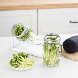 Set <span class=keywords><strong>di</strong></span> 2 vasetti <span class=keywords><strong>di</strong></span> <span class=keywords><strong>vetro</strong></span> a bocca larga da litro in plastica con Design speciale Set <span class=keywords><strong>di</strong></span> Sprouter per Broccoli <span class=keywords><strong>di</strong></span> fagioli Mung cibo cucina usa omaggi - Product Image 6