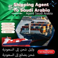 Agente de Transporte Marítimo, Arabia Saudita, Aeropuerto Internacional Rey Abdullah, Agente de Transporte Internacional de Carga
