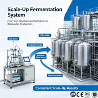 Tanque de Fermentación de Cerveza Profesional de 500L-5000L, Fermentador de Acero Inoxidable SS304 con Fondo Cónico, Máquina de Elaboración de Cerveza con Certificación CE y ASME