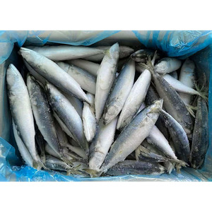 Caballa del Pacífico Congelada, Caballa IQF, Caballa del Pacífico a Bajo Precio, Caballa del Pacífico HGT al por Mayor - Product Image 3