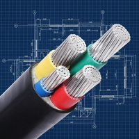 Cable de Alimentación Industrial para Trenes Eléctricos Subterráneos YJLV de Aluminio Sólido de 4 Núcleos, 50 mm, 95 mm, Aislamiento XLPE, Revestimiento de PVC