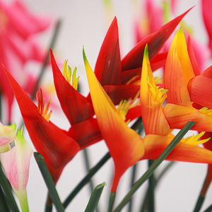 Vente en gros d'<span class=keywords><strong>orchid</strong></span>ées artificielles faites à la main, au toucher doux, en caoutchouc, pour arrangements de table pour la Saint-Valentin, Noël, les mariages et les festivals - Product Image 5