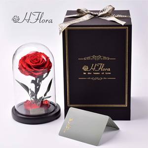 هورد بسعر الجملة-عناصر الهدايا الفاخرة هدية فاخرة مع الحفاظ على الملاكمة في قبة زجاجية - Product Image 6