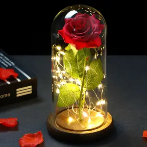 Cahaya Led mawar abadi buatan kecantikan The Beast dalam tutup kaca Dekorasi Rumah Natal untuk hadiah Tahun Baru Hari Valentine Ibu