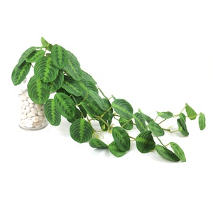 Planta Artificial <span class=keywords><strong>Calathea</strong></span> Suspensa de 85cm, Planta Falsa <span class=keywords><strong>Calathea</strong></span> Suspensa - Product Image 4