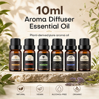 Huile parfumée 10 ml, flacon individuel ou coffret cadeau, logo personnalisé, plusieurs senteurs pour la maison, l'aromathérapie, les bougies, la fabrication de savons, huile essentielle