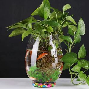 European Hydroponic Transparent Fashion Decoration Round Mouth Glass Fish tank Home Large Capacity Breeding Glass <strong>Vase</strong> - Product Image 5