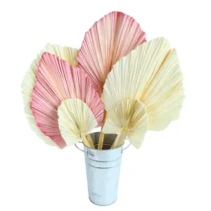 Factory Wholesalers Preserved Natural Fan Palm Leaves Bleach Real Touch Flowers Table Floral Arrangements